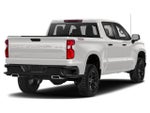 2020 Chevrolet Silverado 1500 Crew Cab Short Box 4-Wheel Drive LT Trail Boss