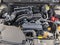 2025 Subaru Outback Limited AWD