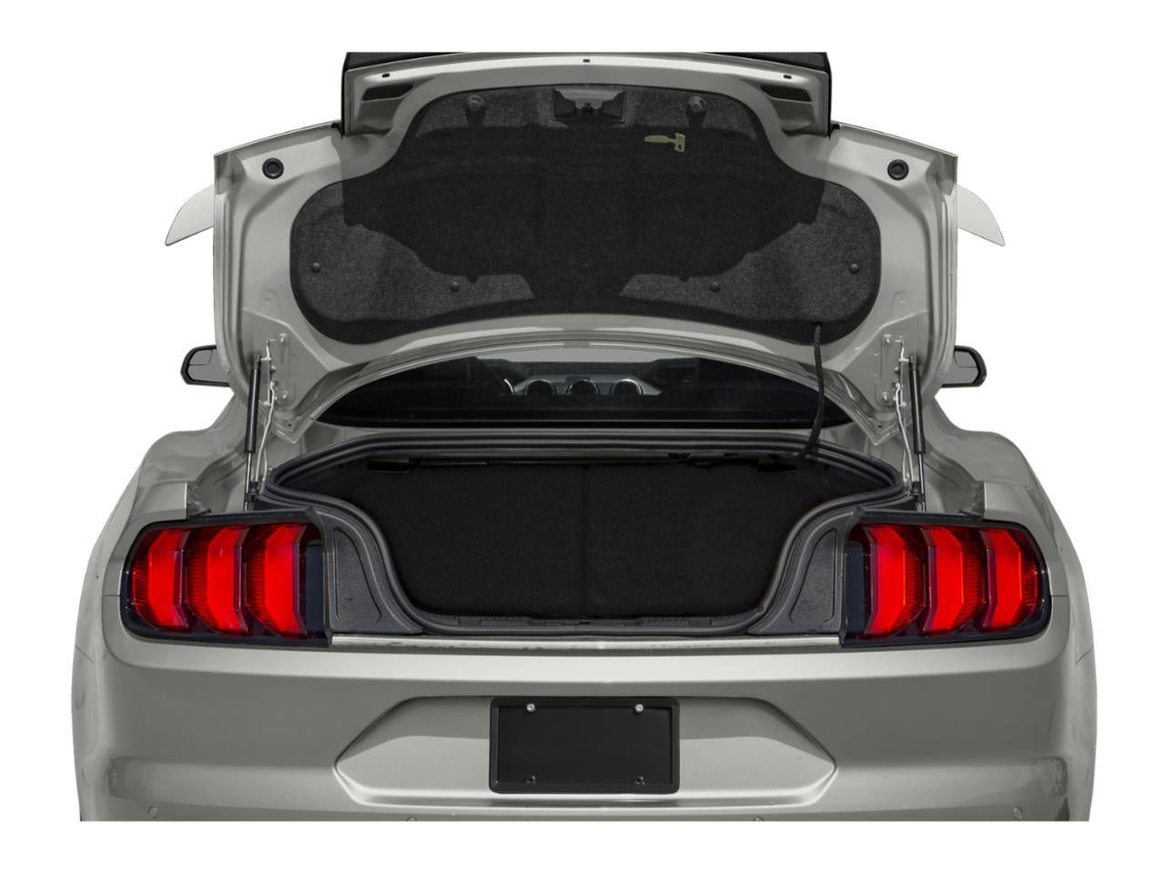 2020 Ford Mustang GT Fastback