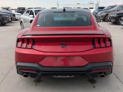 2024 Ford Mustang EcoBoost Fastback