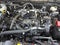 2025 Ford Bronco Big Bend 4 Door 4x4
