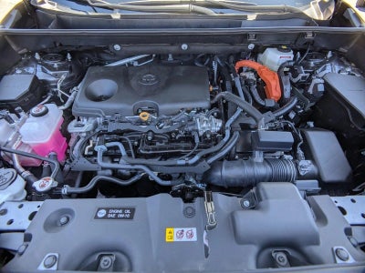 2025 Toyota RAV4 Hybrid LE AWD (Natl)