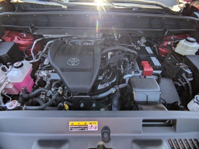 2023 Toyota Highlander XLE FWD (Natl)
